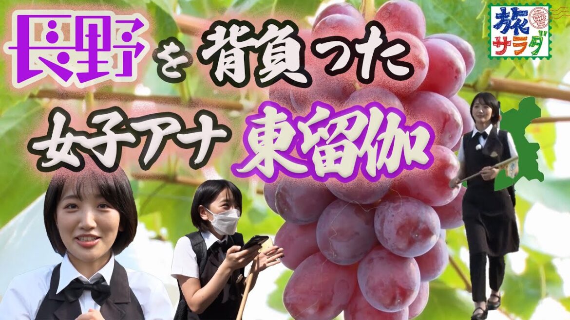 【激レア】ぶどうの未来は東にかかっている～！？