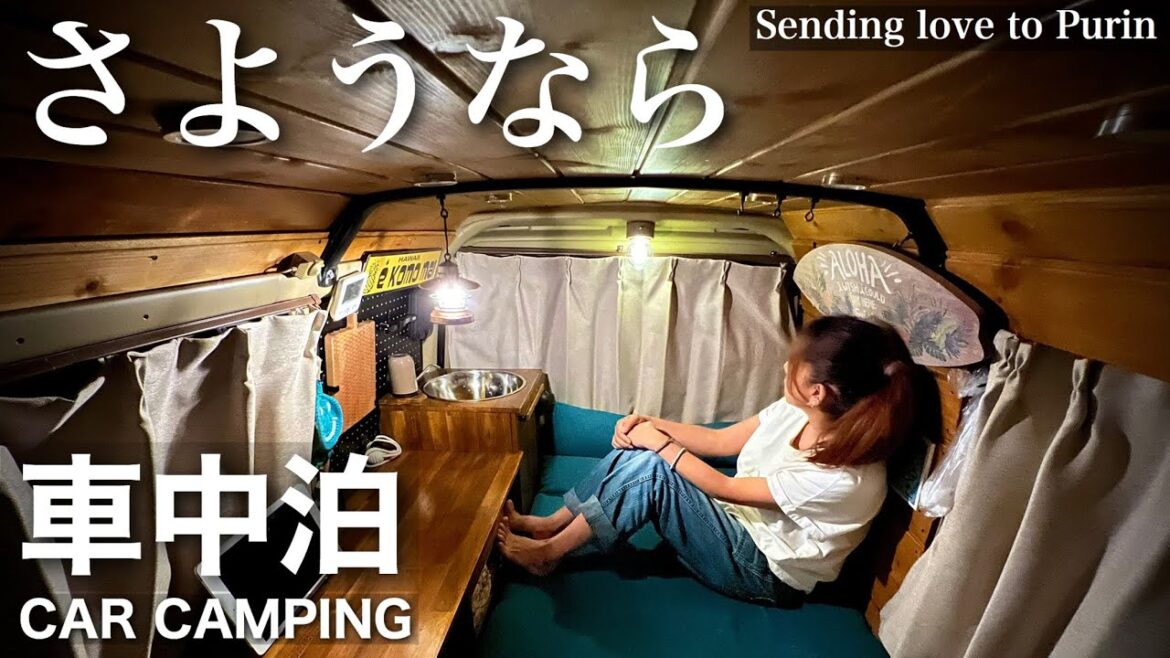 【女ひとり車中泊の旅】あの子に会いに行きました。癒してくれてありがとう…さようなら、またお空で会おうね。