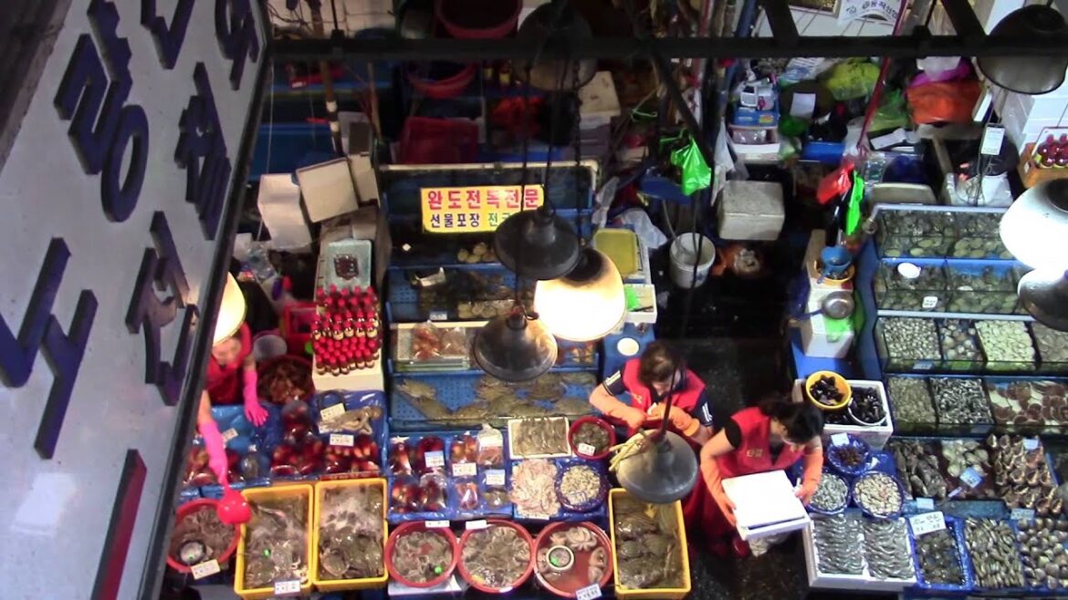 My Korea Trip! My Korea Trip!