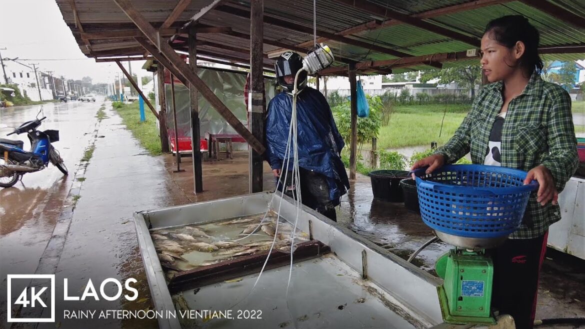 Short Walk in the Rain | Vientiane Suburb, | Laos Walking Tour | Relaxing Rain and Local Life