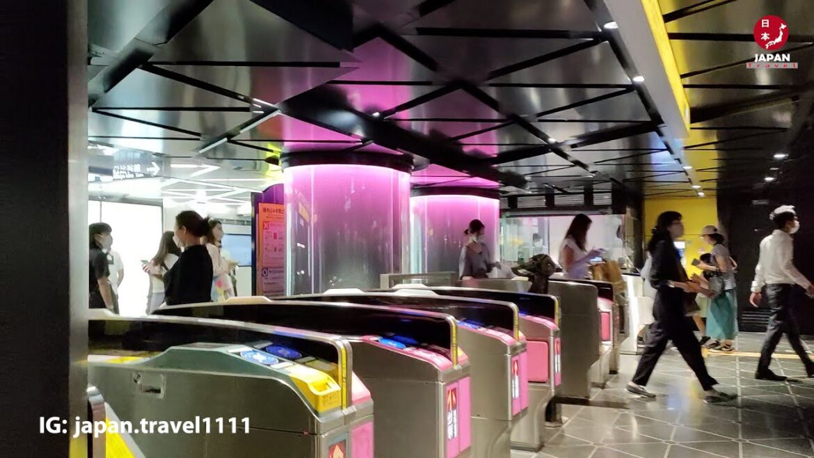 Tokyo GINZA Station Insides |  銀座駅 – Japan Walking Tour #japan #walk #travel #4k #trip #tokyo Tokyo GINZA Station Insides |  銀座駅 - Japan Walking Tour #japan #walk #travel #4k #trip #tokyo