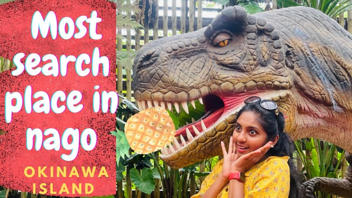 Nago Pineapple garden | Okinawa island | most search place | dinosaur park| japan | Tamil @rasworld