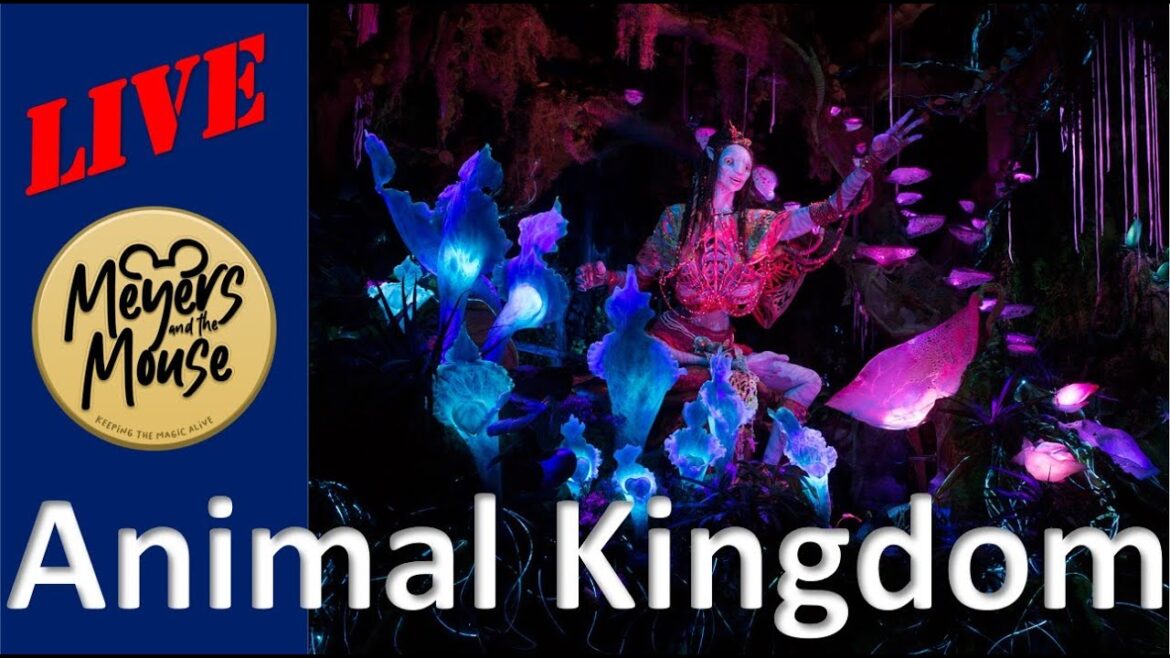 π΄ LIVE 2 – ANIMAL KINGDOM – DISNEY WORLD LIVE STREAM π΄ LIVE 2 - ANIMAL KINGDOM - DISNEY WORLD LIVE STREAM