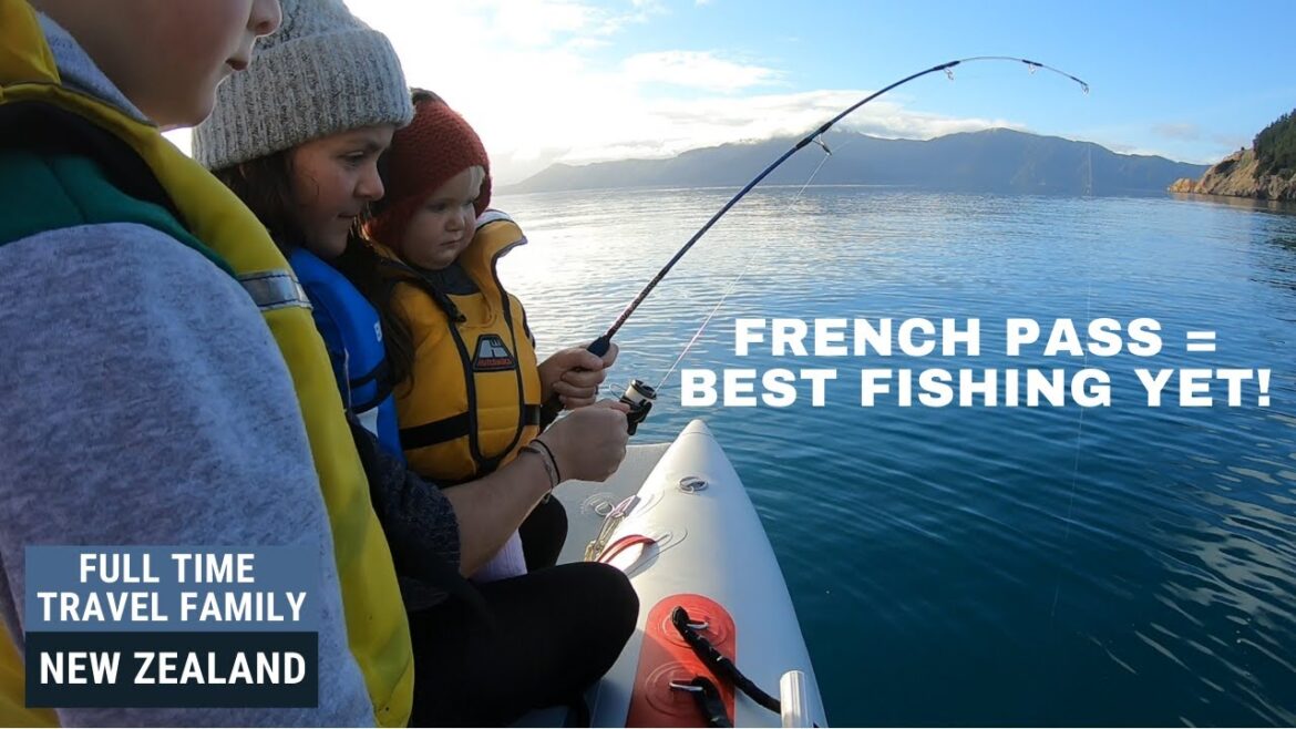 BLUE COD FISHING FRENCH PASS | D'URVILLE ISLAND WILDERNESS RESORT | TRUEKIT | MARLBOROUGH  SOUNDS