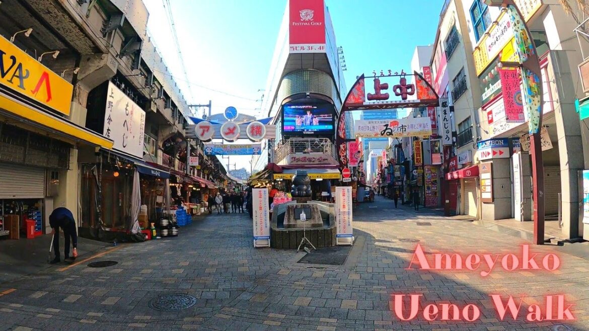 Before opening. Ameyoko UenoTokyo walking tour.【4K】2.2022