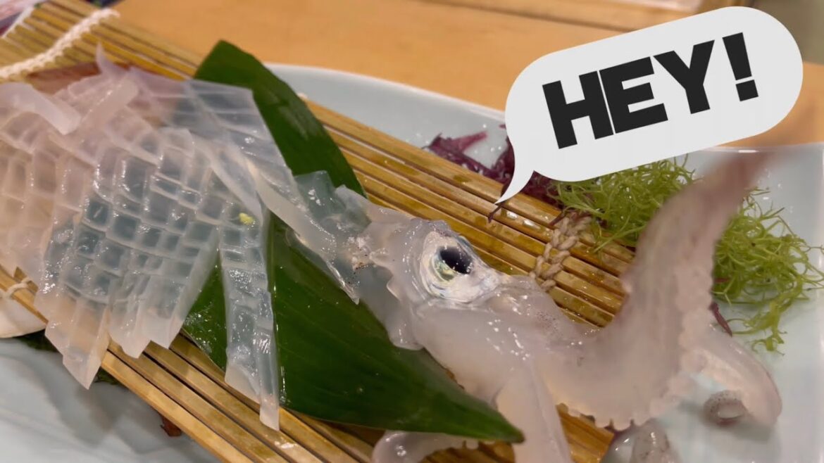 河太郎 博多駅前店 福岡グルメ イカの活き造り Live Squid Sashimi Mukbang いか刺身 いかの活造り Hakata Fukuoka Japan Japanese Food 呼子