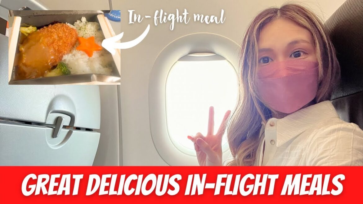 JetStar Japan✈️Budget airlines has great in-flight meals🍣🍱