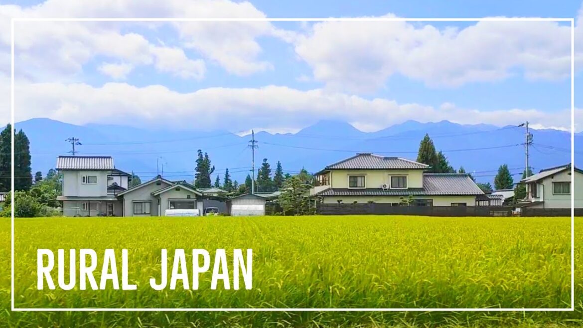 【JAPAN DRIVE】Old Country Landscape | 昔ながらの田舎の街並み | Rural Japan | Travel Mood 【JAPAN DRIVE】Old Country Landscape | 昔ながらの田舎の街並み | Rural Japan | Travel Mood