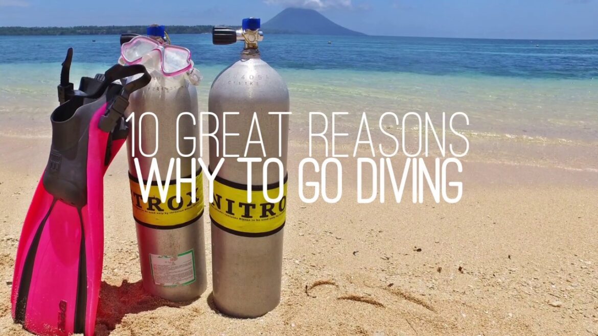 10 GREAT REASONS WHY TO GO SCUBA DIVING BY DIVING SPECIALS 10 GREAT REASONS WHY TO GO SCUBA DIVING BY DIVING SPECIALS