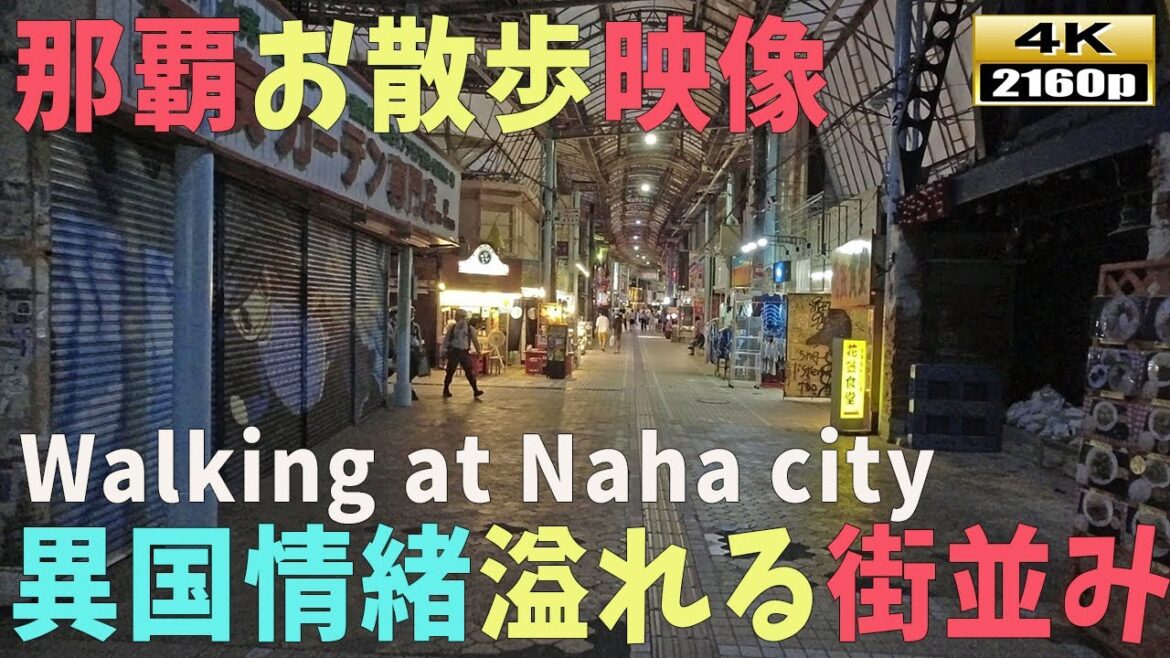 【沖縄お散歩】4K■那覇市の日常風景~サンライズ通り→平和通り。1000ベロストリートあり 【沖縄お散歩】4K■那覇市の日常風景~サンライズ通り→平和通り。1000ベロストリートあり