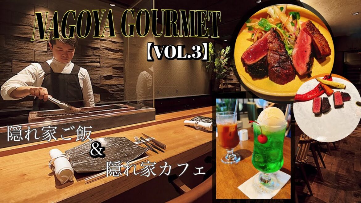 Nagoya gourmet🍽【VOL.3】#nagoya #nagoyagourmet #nagoyalunch
