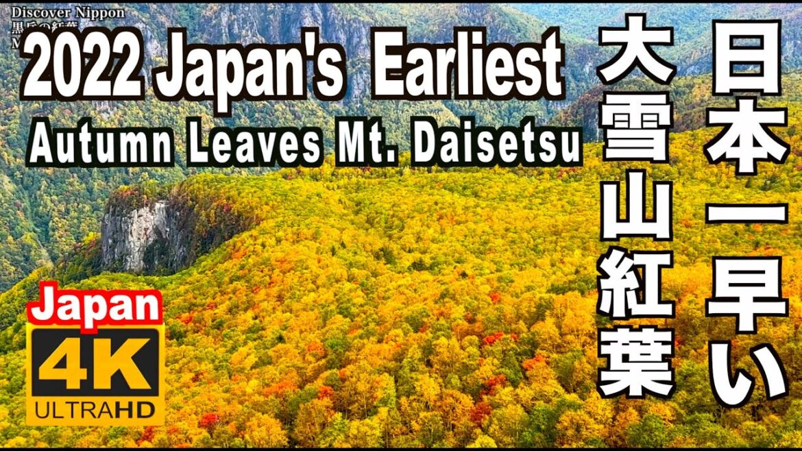 4K 2022日本一早い紅葉 Earliest autumn leaves of Japan  北海道大雪山 旭岳 黒岳 層雲峡の紅葉谷 紅葉の名所 Hokkaido, Mt. Daisetsu