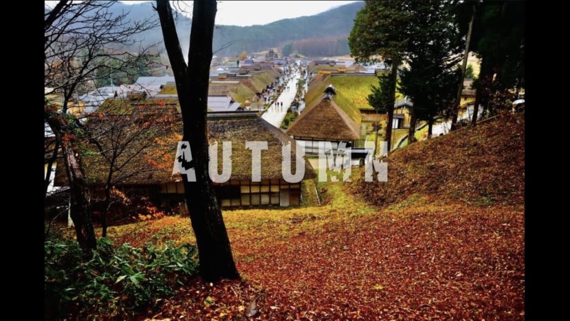 AUTUMN | FUKUSHIMA JAPAN | NATURE CINEMATIC FILM