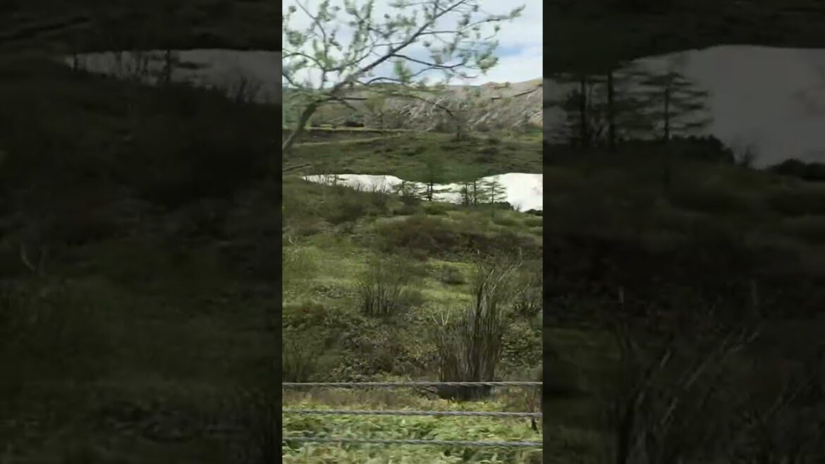 On the top of the Nagano Mountain road #japan #asmr #best #satisfying #trending #shorts
