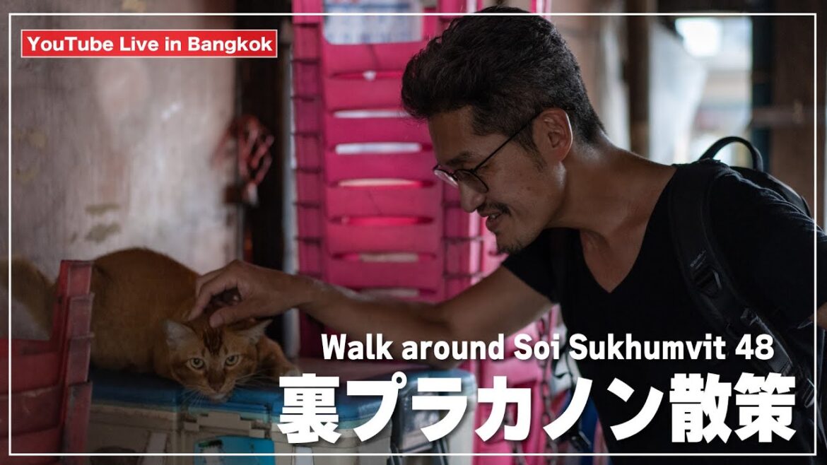 【裏プラカノン散策】スクンビット・ソイ48の朝風景｜Soi Sukhumvit 48