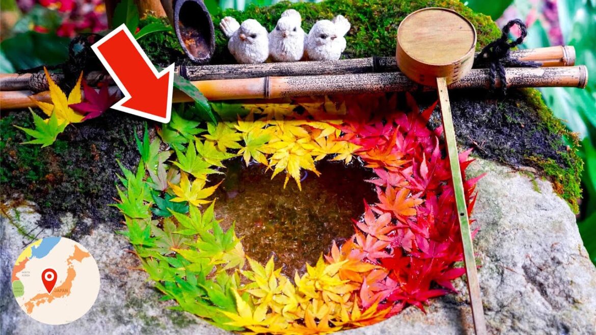 Japan's Autumn Leaves Tour 🍁 From Kintaikyo Bridge to Kyoto