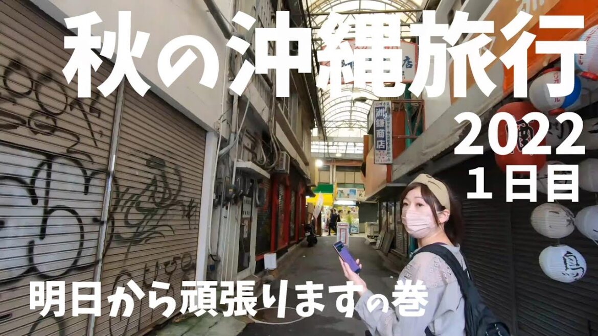 2022 秋の沖縄旅行 1日目 2泊3日 ロワジールホテル那覇 VLOG sony a6300 RX100 GoPro HERO7 OKINAWA TRIP DAY1 2022 秋の沖縄旅行 1日目 2泊3日 ロワジールホテル那覇 VLOG sony a6300 RX100 GoPro HERO7 OKINAWA TRIP DAY1