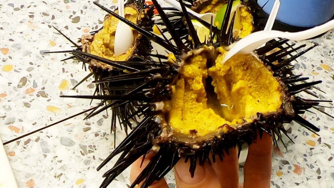 Taiwanese Street Food- Sea urchin