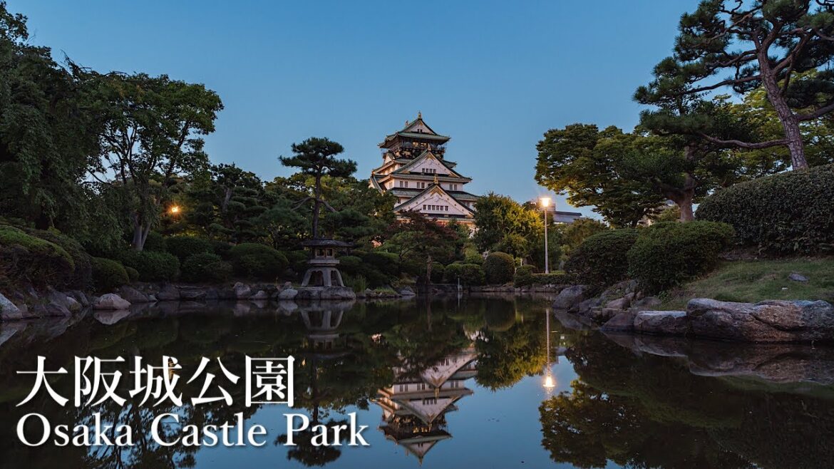大阪城公園の彼岸花 Osaka Walk – Osaka Castle & Cluster Amaryllis 4K HDR Japan 大阪城公園の彼岸花 Osaka Walk - Osaka Castle & Cluster Amaryllis 4K HDR Japan