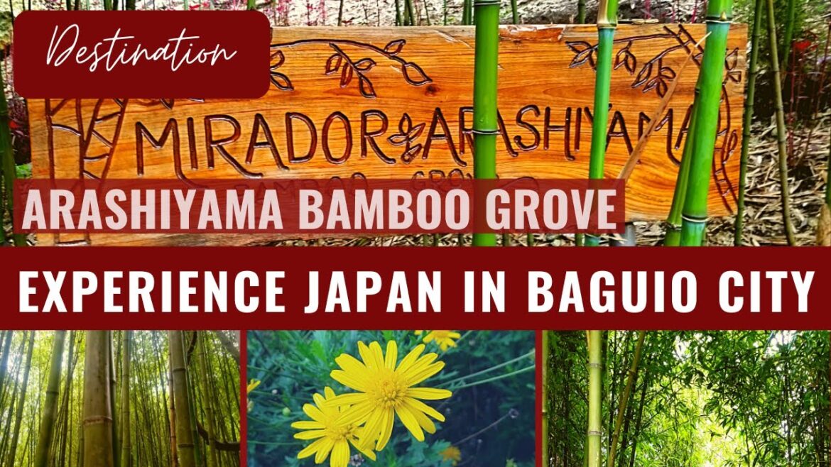 A Little Kyoto in Baguio 2022 A Little Kyoto in Baguio 2022