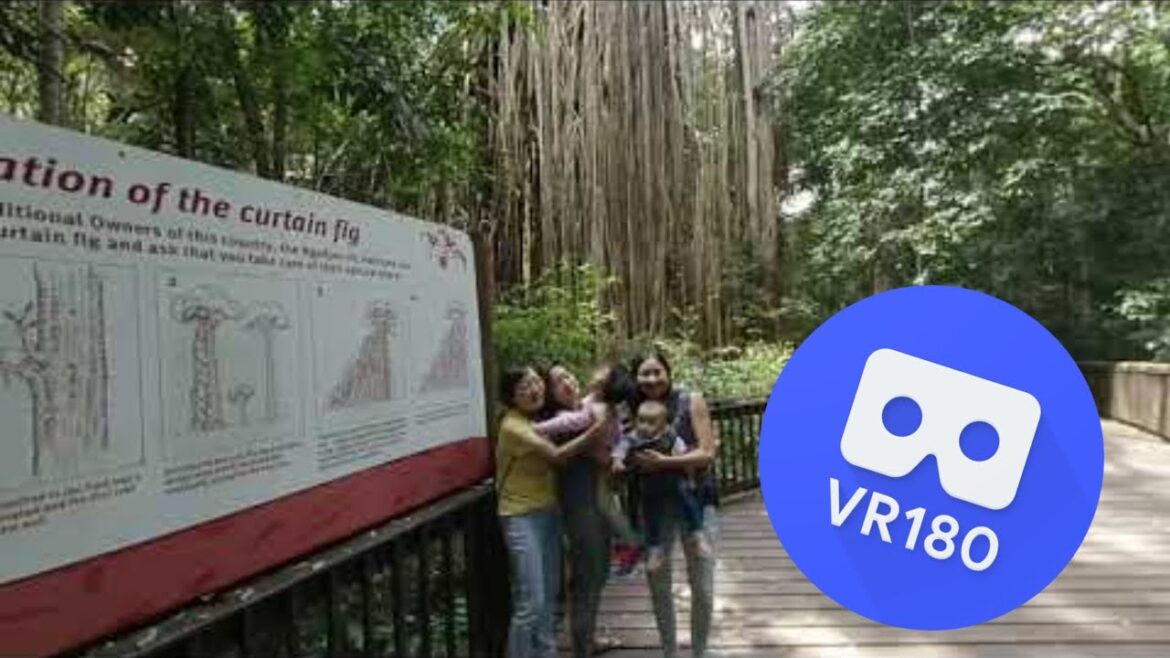 [VR180 VR 3D] Curtain Fig Tree Heritage Photo @ Yungaburra, Tablelands Region, Queensland, Australia