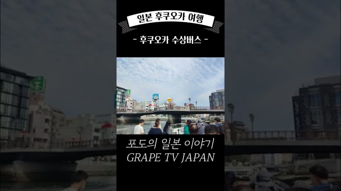 일본 후쿠오카 여행 | 후쿠오카 수상버스