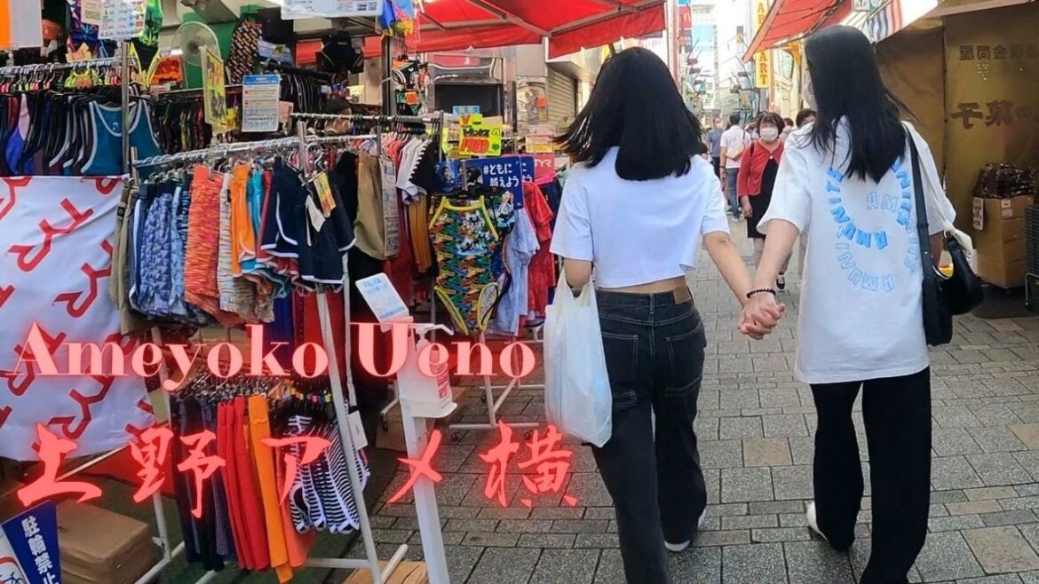 Pub Street Ameyoko UenoTokyo walking tour. 上野アメ横を散歩 【4K】緊急事態宣言開けた Pub Street Ameyoko UenoTokyo walking tour. 上野アメ横を散歩 【4K】緊急事態宣言開けた