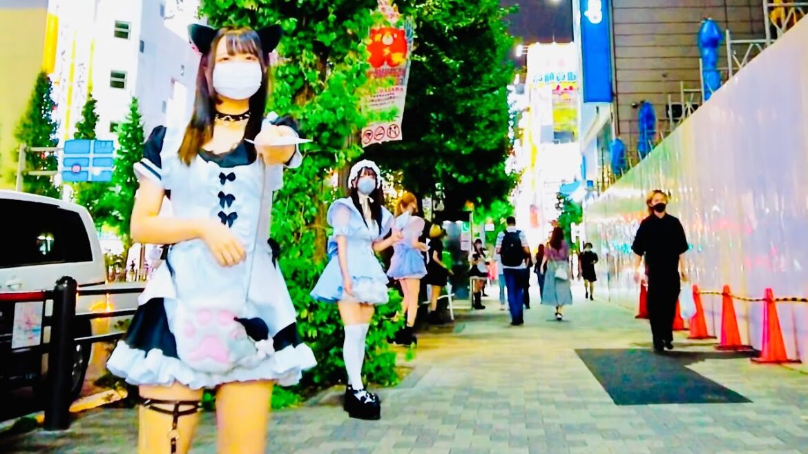 【秋葉原】Tokyo Night Walk - Akihabara (▶ 29 min) | 4K 東京散歩 August, 2022