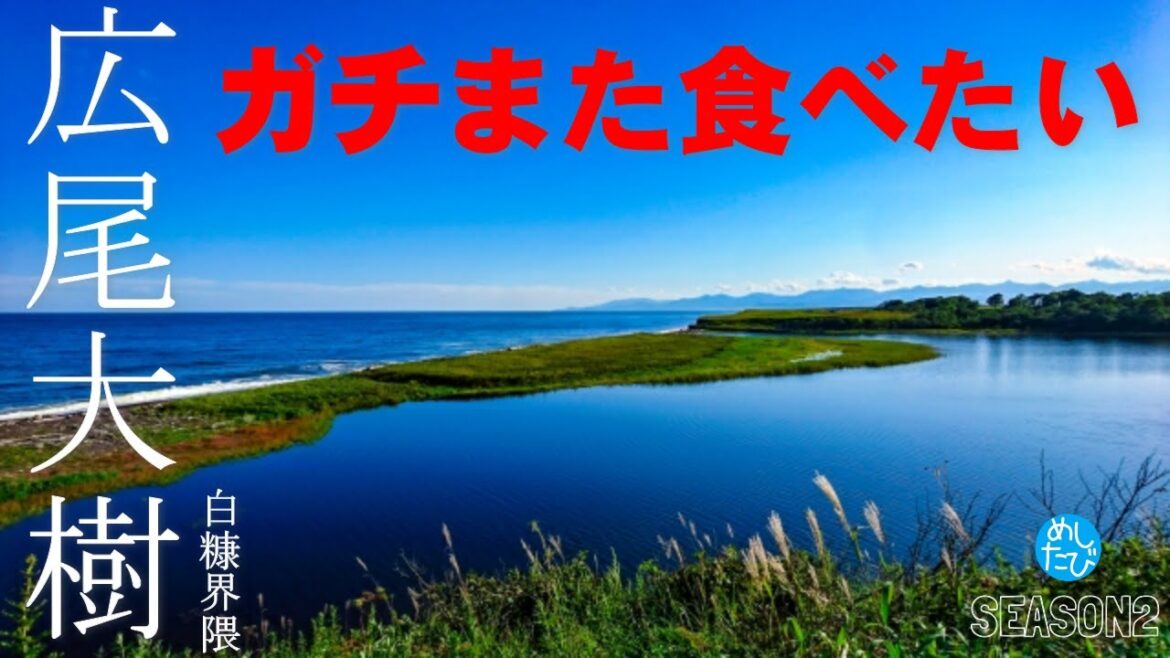 広尾大樹白糠 界隈 ガチまた食べたい10軒★SEASON2※048【修正版】(Subtitles:English,Thai,Korean,Chinese)店舗情報に不備があり再編集版です。 広尾大樹白糠 界隈 ガチまた食べたい10軒★SEASON2※048【修正版】(Subtitles:English,Thai,Korean,Chinese)店舗情報に不備があり再編集版です。