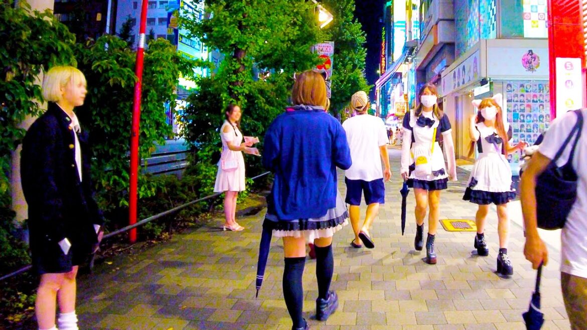 Akihabara in Tokyo. Enjoy the night in Akihabara ♪💖🐶4K ASMR non-stop 1 hour 01 minutes