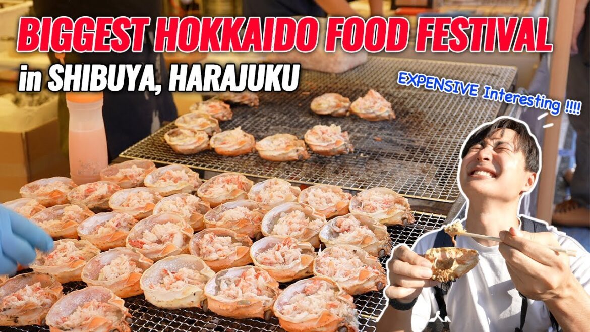 [Japan Travel Vlog] Tokyo's Biggest Hokkaido Food Festival, Walking in Harajuku and Shibuya Ep.367