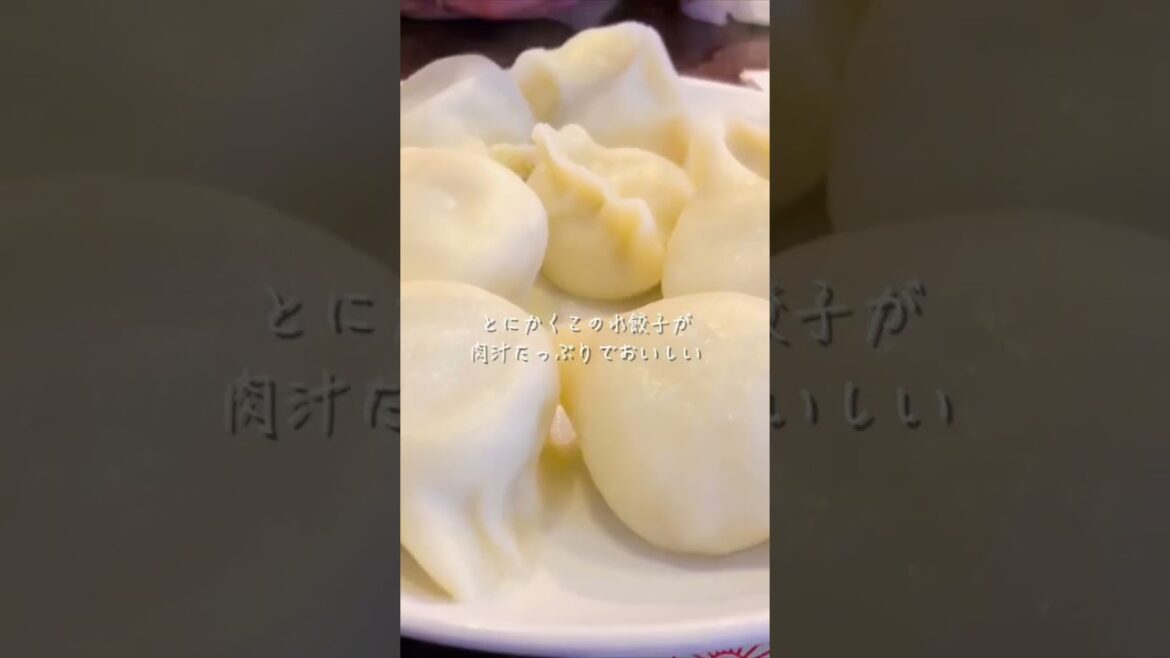 【横浜中華街】本当は教えたくない！餃子の名店で肉汁たっぷりの水餃子に舌が喜ぶ at 山東 #横浜中華街 #shorts