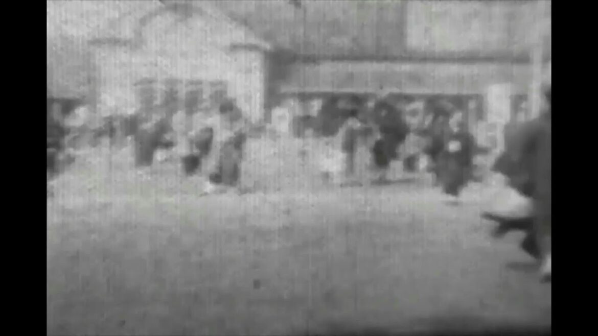 1931.JAPAN.Hokkaido.A steam locomotive passing through Onuma Station.Sightseeing trips such as farms 1931.JAPAN.Hokkaido.A steam locomotive passing through Onuma Station.Sightseeing trips such as farms