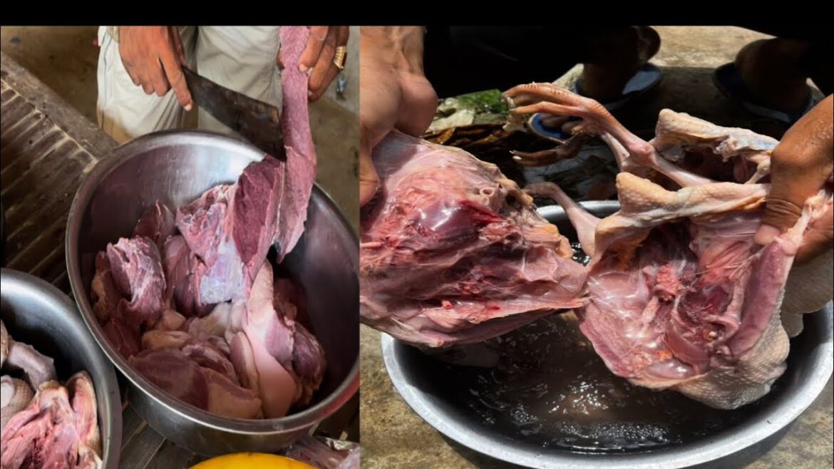 Cooking,Street Food, ASMR MUKBANG | steak Duck spicy soup,grill beef,Grill duck,chicken | eating Cooking,Street Food, ASMR MUKBANG | steak Duck spicy soup,grill beef,Grill duck,chicken | eating