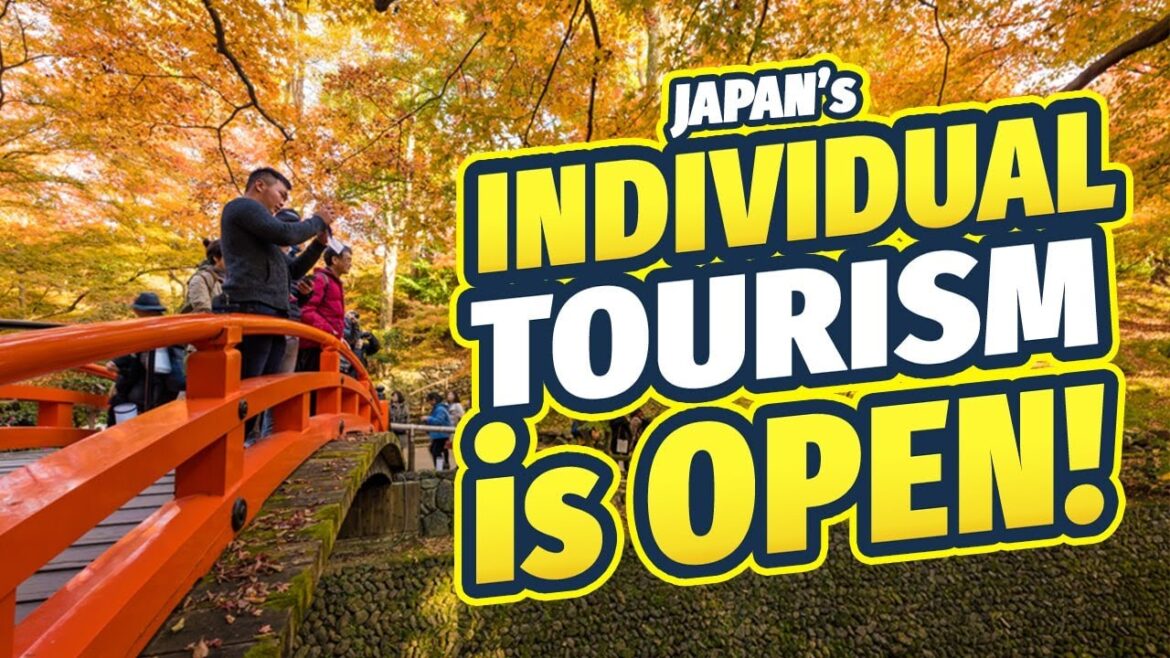 JAPAN WILL OPEN! Japan Travel Update 2022 2/5 #shorts JAPAN WILL OPEN! Japan Travel Update 2022 2/5 #shorts