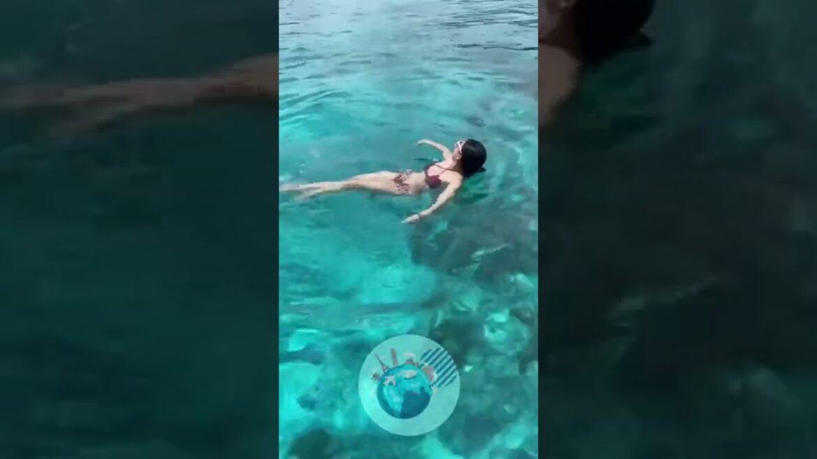 Similan islands🌴🤍 – Luxury Life✨ Similan islands🌴🤍 - Luxury Life✨