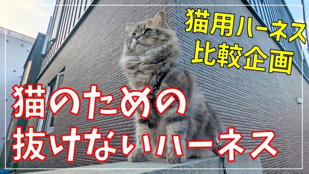 猫のための抜けないハーネス!工夫が詰まったダブルブロックハーネスの実力とは【猫用ハーネス10種お試し企画】 猫のための抜けないハーネス!工夫が詰まったダブルブロックハーネスの実力とは【猫用ハーネス10種お試し企画】