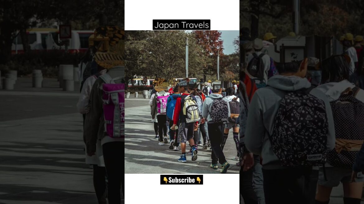 Japan Travel Photos | #shorts #travel #streetphotography