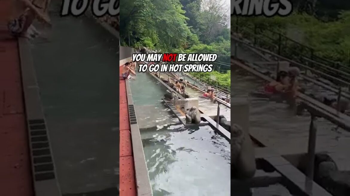 Things to remember before going to JAPAN #shorts