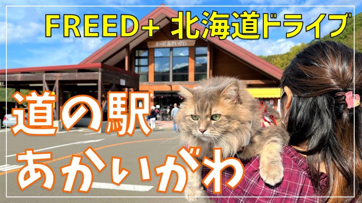 【北海道ドライブ】日本で最も美しい村連合の1つ・赤井川の魅力をたっぷりご紹介♪ 【北海道ドライブ】日本で最も美しい村連合の1つ・赤井川の魅力をたっぷりご紹介♪
