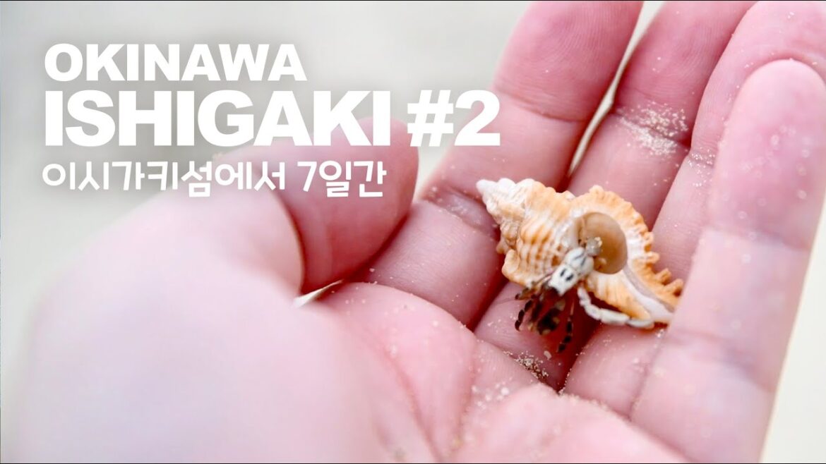 7일간의 오키나와 이시가키섬 여행_#2 7일간의 오키나와 이시가키섬 여행_#2