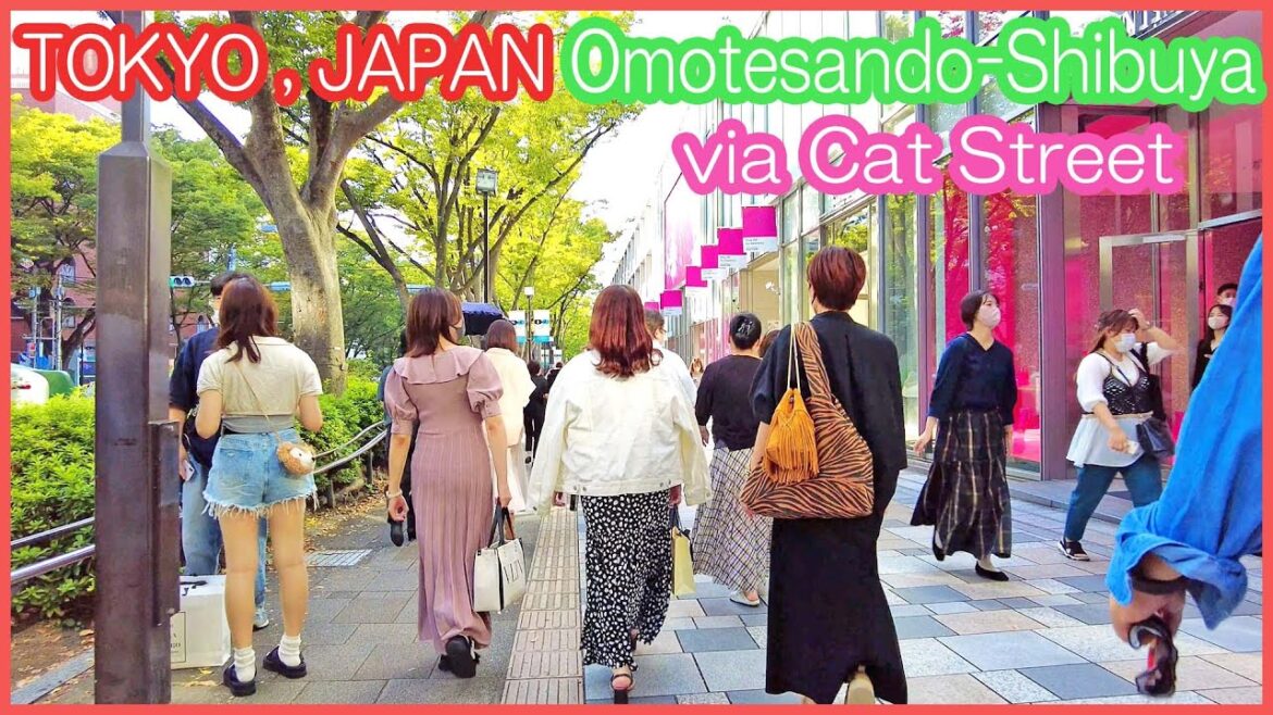 Walk from Omotesando to Shibuya via Cat Street (Oct.2022) - Tokyo walk 4K,Japan