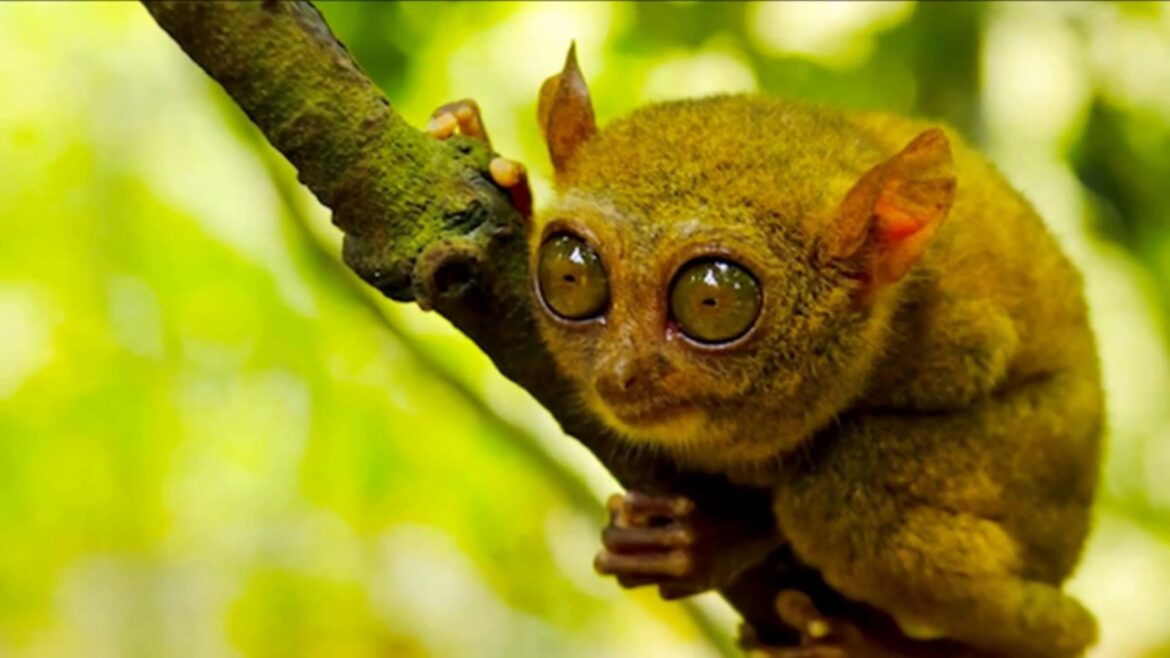 Top 17 most biodiverse travel destinations in the world