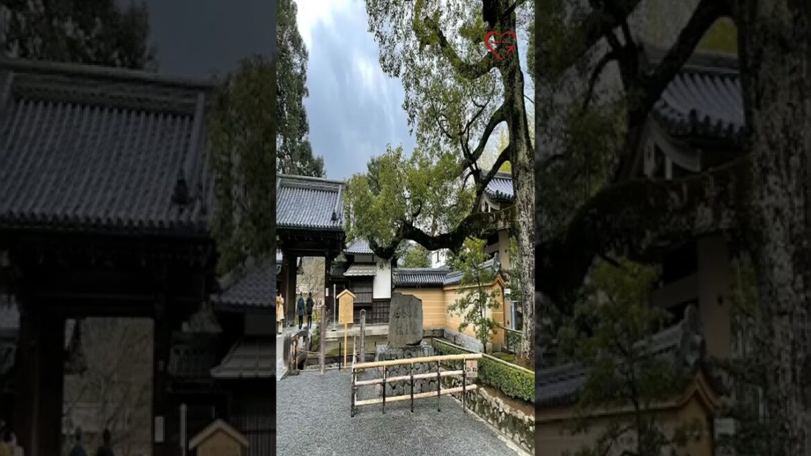 Kinkaku-ji || Buddhist Temple || Kyoto - Japan || @TraveL LovE  || #shorts