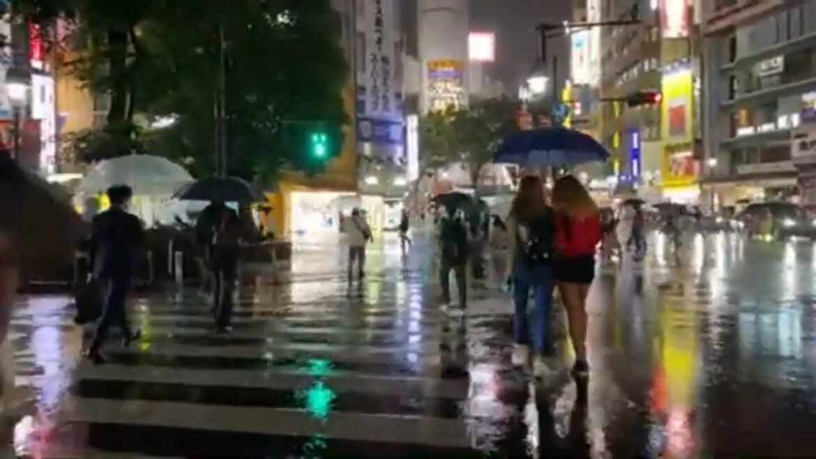 Live Shibuya Tokyo Rainy Night Walk