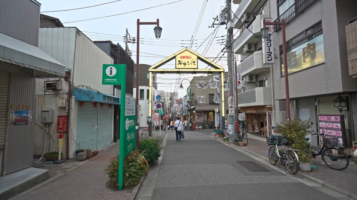 Sunset walk at Tokyo Yanaka Ginza and Nezu shrine・4K HDR