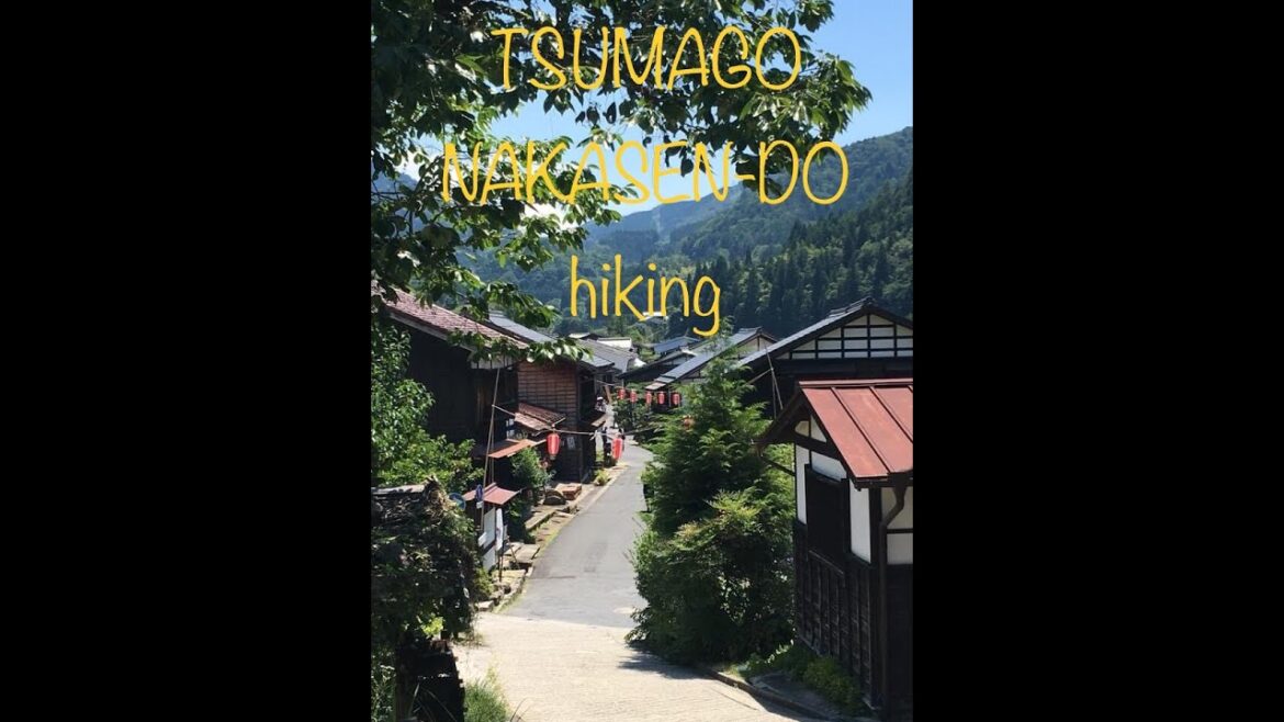 7. TSUMAGO