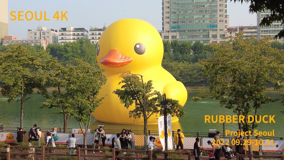 [4K] Rubber Duck Project Seoul - 다시 돌아온 러버덕 - 2022 09.29-10.31