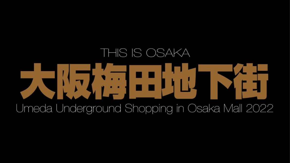 大阪梅田地下街 Umeda Underground Shopping Malls in Osaka 2022(4K UHD) 大阪梅田地下街 Umeda Underground Shopping Malls in Osaka 2022(4K UHD)