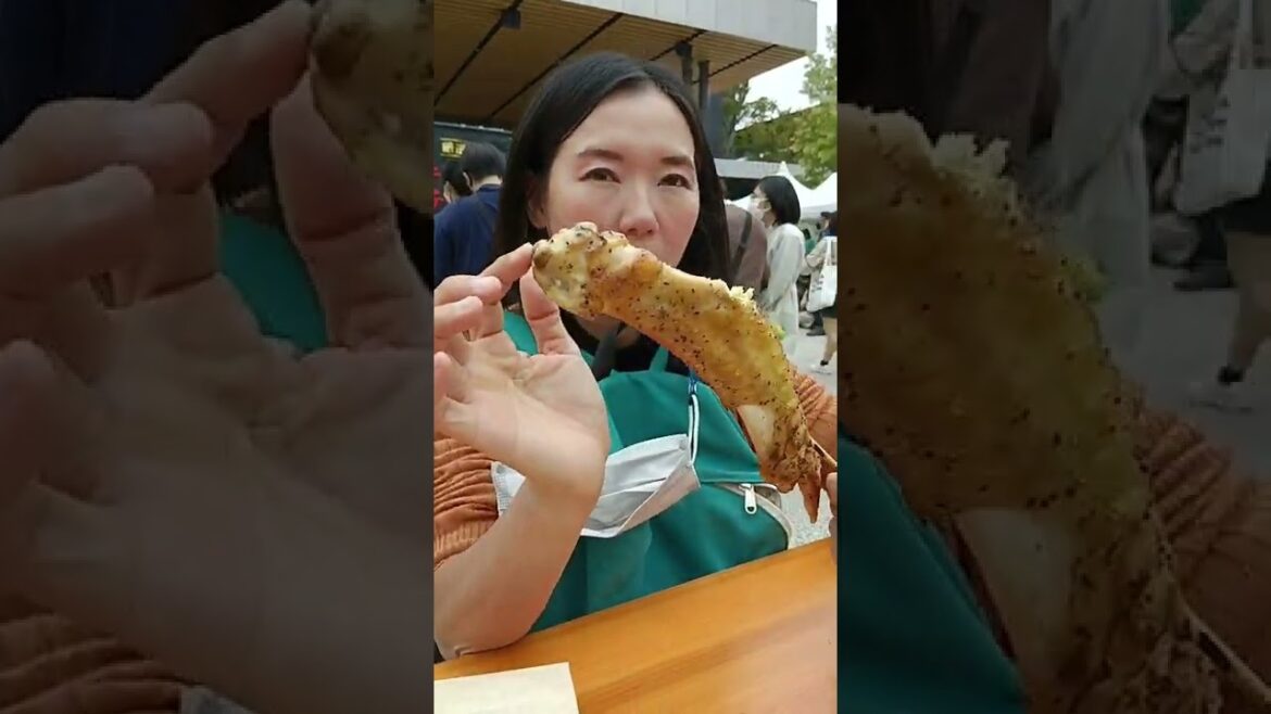 พาลูกนั่งรถบัส.  รถไฟ. ไป. kumamoto